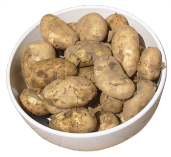 New Potatoes (Cornish)