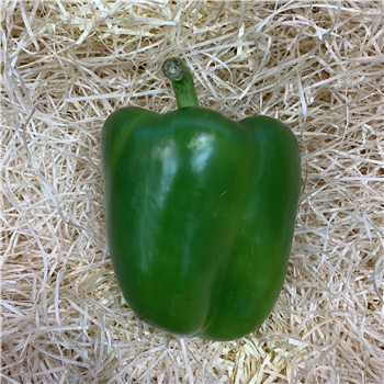 Peppers (Green)