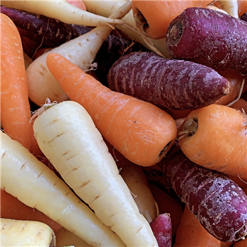Carrots (Chantenay)