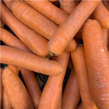 Carrots