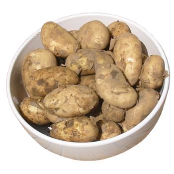 New Potatoes (Cornish)