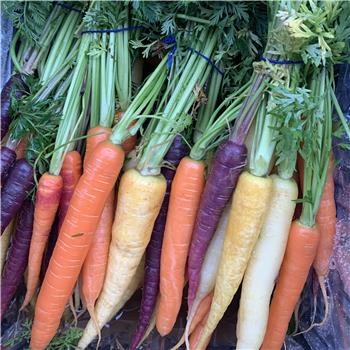 Heritage Carrots - Local