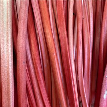 Rhubarb