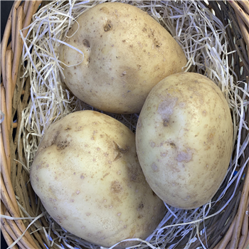 Potatoes (Baking)