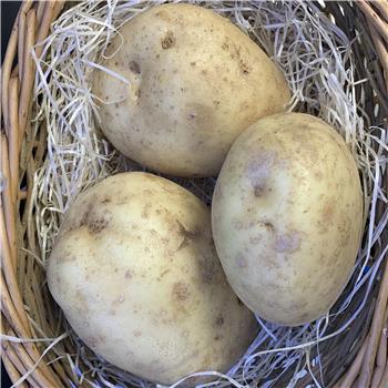 Potatoes (Baking)