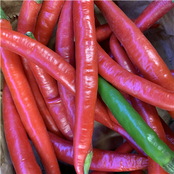 Chillies (red)