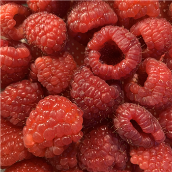 Raspberries