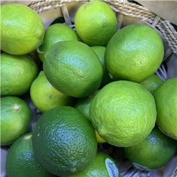 Limes