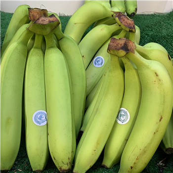 Bananas