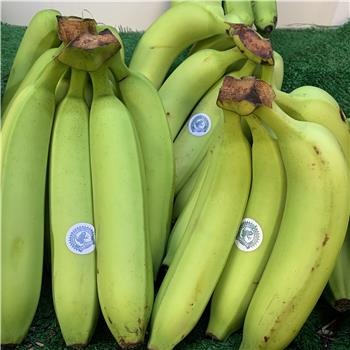 Bananas