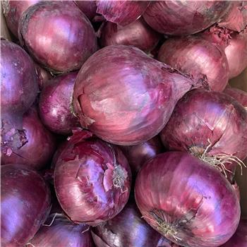 Onions (Red)