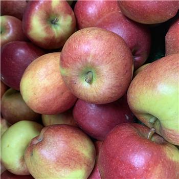 Apples (Braeburn)