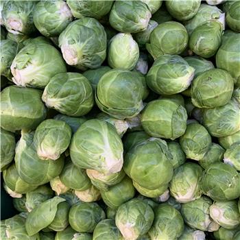 Sprouts