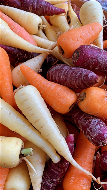 Chantaney carrots