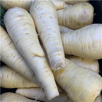 Parsnips