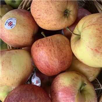 Apples (Royal Gala)