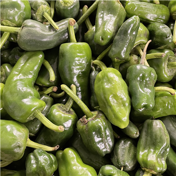 Peppers (Padron)