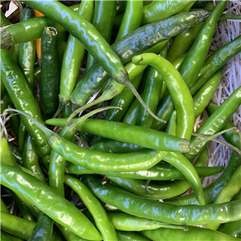 Chillies (Green)