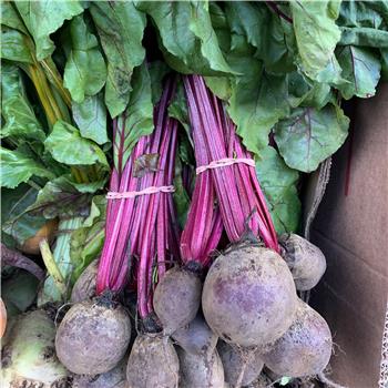 Beetroot (Bunch)