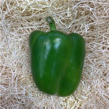 Peppers (Green)