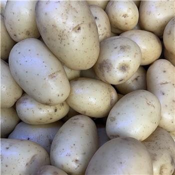 Potatoes (Washed Mids)
