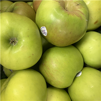 Apples (Bramley)