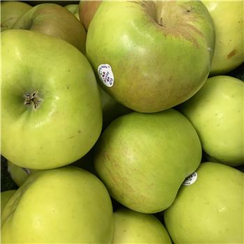 Apples (Bramley)