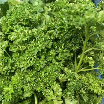 Parsley