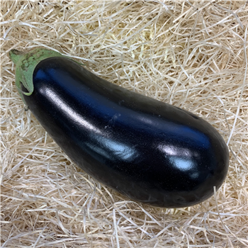 Aubergine