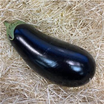 Aubergine