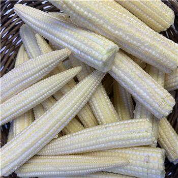 Baby Corn