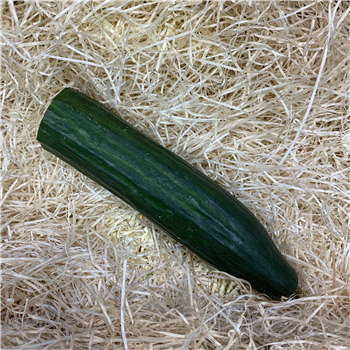 Cucumber (Half)